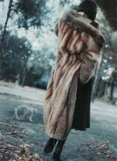 gallery3-24a